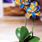 Kapselorchidee klein mit 4 Blüten ca. 33 cm